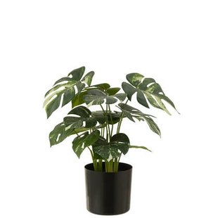 J-Line plant Monstera in pot - kunststof - groen