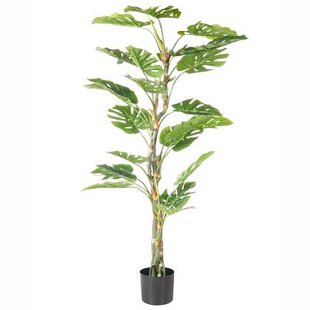 Beliani - MONSTERA - Kunstplant - Groen - 165 cm - Kunststof