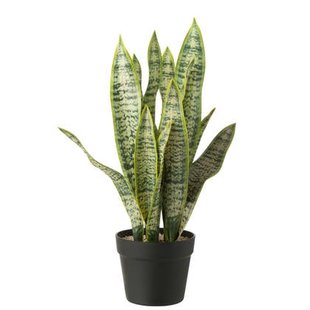 J-Line plant Dracaena Trifasciata in pot - kunststof - groen - large