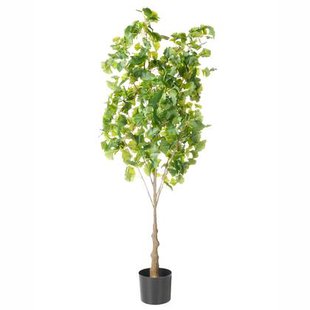 Beliani - GINKGO TREE - Kunstplant - Groen - 150 cm - Kunststof