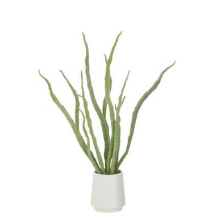 J-Line vetplant in pot - kunstmatig - groen