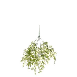 J-Line decoratie tak Varen Fijn - kunststof - groen