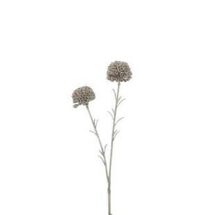 J-Line decoratie Tak Marigold - kunststof - lichtgroen - 24 stuks