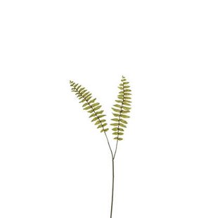 J-Line tak Varen Boston - kunststof - groen - small - 36 stuks