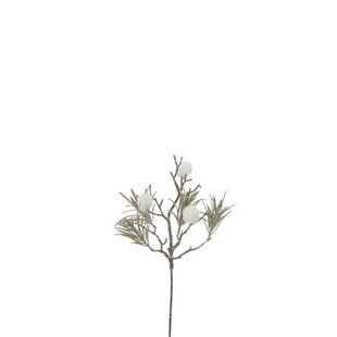 J-Line tak Den + Pompom Glitter - kunststof - groen|wit - 24 stuks