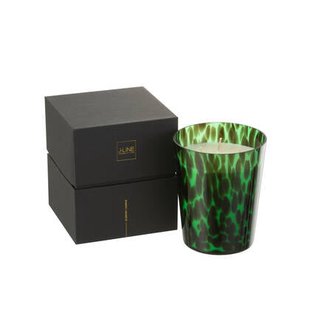 J-Line geurkaars Noa - Sandalwood - glas - groen - medium - 68U