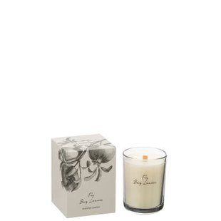 J-Line geurkaars Vijgen Bessen - large - 50U