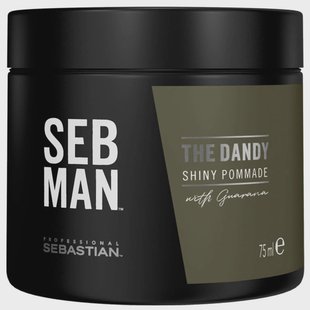 Sebastian Professional Seb Man The Dandy Pommade (75 ml)