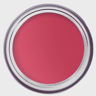 Bobbi Brown Pot Rouge Velvet Matte Guava Punsch 41