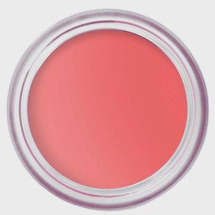 Bobbi Brown Pot Rouge Velvet Matte Apricot Rush 21