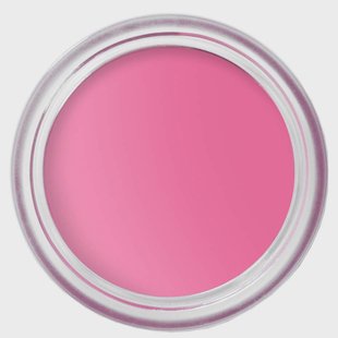 Bobbi Brown Pot Rouge Velvet Matte Peony 4