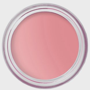 Bobbi Brown Pot Rouge Velvet Matte Petal Pink 4