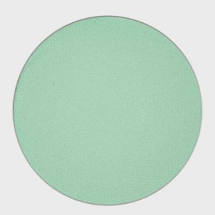 MAC Matte Eye Shadow Refill Mint Condition
