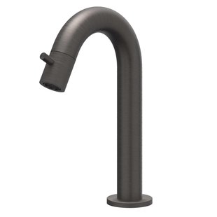 IVY Concord Fonteinkraan - gebogen - opbouw - laag - RVS316 - geborsteld carbon black PVD 6401064