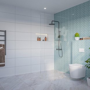 Fortifura Galeria Inloopdouche - helder glas - 120x200cm - 8mm - nano - blind inbouw profiel SW797917 SW1102415