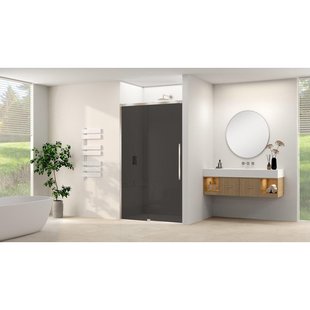 Van Rijn Products ST09 Schuifdeur vast deel - 157.5x200cm - grijs rookglas - soft-close - incl. RVS Geborsteld ST09300160GRBN