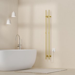 Belrad Rod staafhanddoekdroger - 150x16,8x12,7 cm - elektrisch - dubbel - 120w - 2,5cm - geborsteld goud HS1513BG