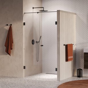 BRAUER Void Carving Nisdeur - 2-delig - 120x200cm - 60cm draaideur aan muur - glascoating - omkeerbaar - helder glas - geborsteld gunmetal PVD GS-VOCN2H6060200GM