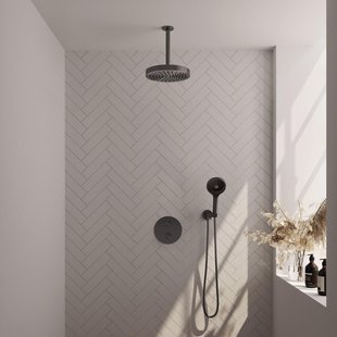 BRAUER Stripe Thermostatische Inbouw Regendouche - 3-weg - rond - SET 42 - 25cm douchekop - plafondarm - 3-standen handdouche - doucheslang - wandaansluitbocht - gunmetal geborsteld PVD 5-GM-447