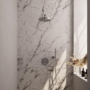 BRAUER Stripe Thermostatische Inbouw Regendouche - 3-weg - rond - SET 37 - 25cm douchekop - rechte muurarm - staaf handdouche - doucheslang - wandaansluitbocht - RVS-kleurig geborsteld PVD 5-NG-437