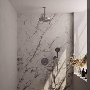 BRAUER Stripe Thermostatische Inbouw Regendouche - 3-weg - rond - SET 42 - 25cm douchekop - plafondarm - 3-standen handdouche - doucheslang - wandaansluitbocht - RVS-kleurig geborsteld PVD 5-NG-447