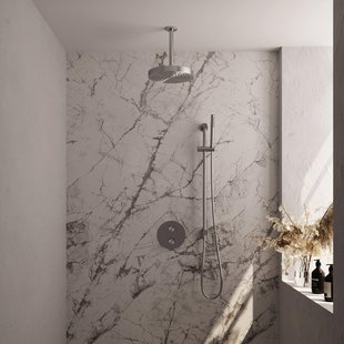 BRAUER Stripe Thermostatische Inbouw Regendouche - 3-weg - rond - SET 45 - 25cm douchekop - plafondarm - staaf handdouche - doucheslang - geïntegreerde glijstang - RVS-kleurig geborsteld PVD 5-NG-453