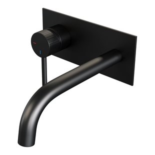 BRAUER Stripe Inbouw Wastafelmengkraan - gebogen uitloop en afdekplaat - model A2 - mat zwart 5-S-333