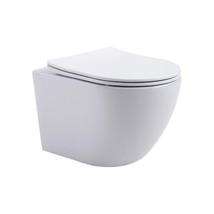 Aloni Pro Hangend Toilet - 36x49x32cm - wervelspoeling - randloos - met zitting - softclose - quick release - compact - glans wit PRO1925