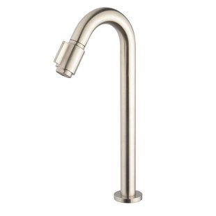 Wiesbaden Caral Victoria fonteinkraan XL 1/2&apos;&apos; geborsteld staal PVD 22.3772