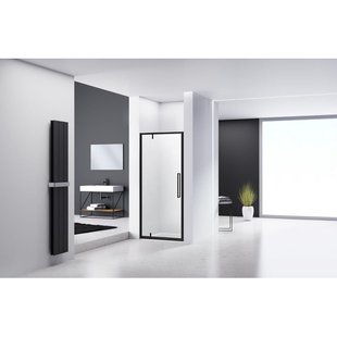 Van Rijn Products ST04 Nisdeur - 80x200cm - helder glas - dikte 6mm - zwart ST0410080KP