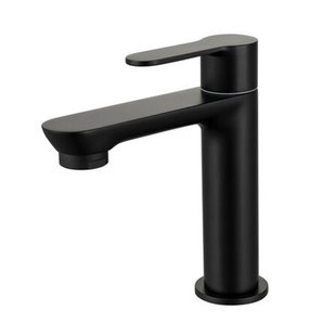 GO by Van Marcke Helene Fonteinkraan - koudwaterkraan - keramische schijven - fixatieset - mat zwart 8192-31 MB