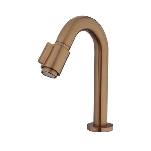 Wiesbaden Caral Victoria fonteinkraan 1/2&apos;&apos; geborsteld brons koper PVD 22.2731