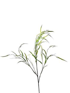 Kunstbloem Eucalyptus - Groen - 120 cm