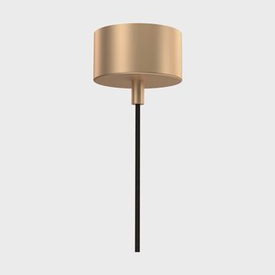 Örsjö Belysning Punkt plafondkap Geborsteld messing