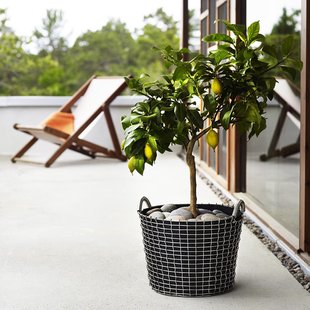 Korbo Classic 24 - Roestvrij staal