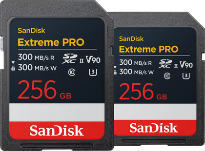 SanDisk MicroSDXC Extreme 256GB 130MB/s Duo Pack
