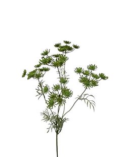 Kunstbloem Dille - Groen - 80 cm