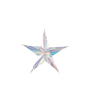 J-Line hanger Ster Pet - mix - large