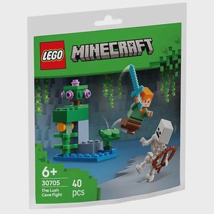 LEGO Minecraft - The Lush Cave Fight 30705