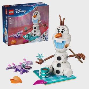 LEGO Disney - Olaf and Brunis Picnic Fun 43287