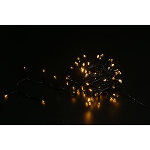 Central Park Lichtslinger 100 Led Warm Wit 5,5m