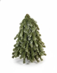 Kunstboom Nobilis 40 cm