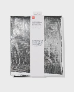 HEMA Berschermfolie voor autoruit