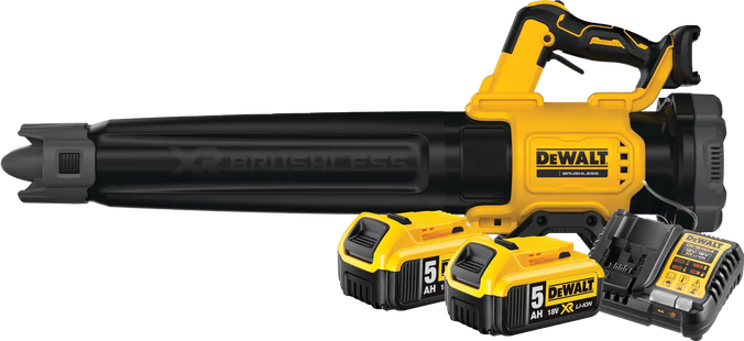 DeWalt DCMBL562N-XJ 5,0 Ah Accu (2x) Starterspakket