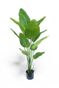 Kunst Strelitzia 150 cm