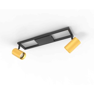 Brilliant Opbouwspot Salor - Zwart - Messing - 2xgu10 5w - Warm Wit