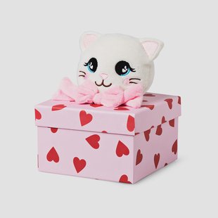 Geschenkdoos met pluche kat