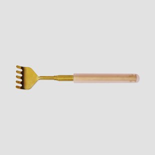 Gouden telescopische rugkrabber