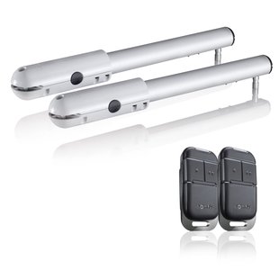 Somfy Sgs 501 Hekmotor Met Demper 250kg + 2 Afstandsbedieningen