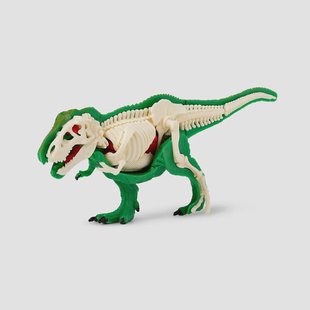 DIY 3D anatomische T-Rex puzzel